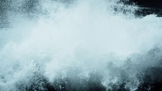 Фото: unsplash.com