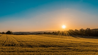 Фото: unsplash.com