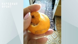 Фото: кадр из видео