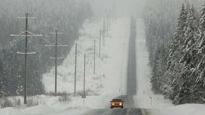 Фото: unsplash.com