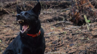 Фото: unsplash.com