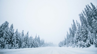 Фото: unsplash.com