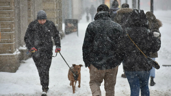 Фото: unsplash.com