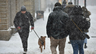 Фото: unsplash.com