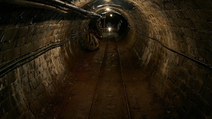 Фото: unsplash.com