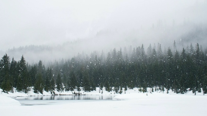 Фото: unsplash.com