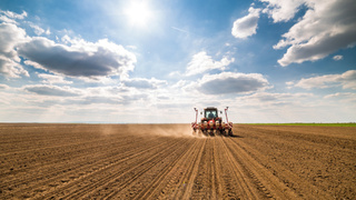 Поле. Трактор. Сельское хозяйство / Фото: Shutterstock 