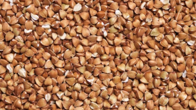 Фото: unsplash.com