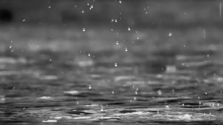 Фото: unsplash.com