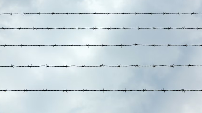 Фото: unsplash.com