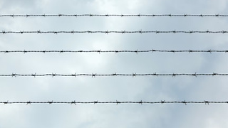 Фото: unsplash.com