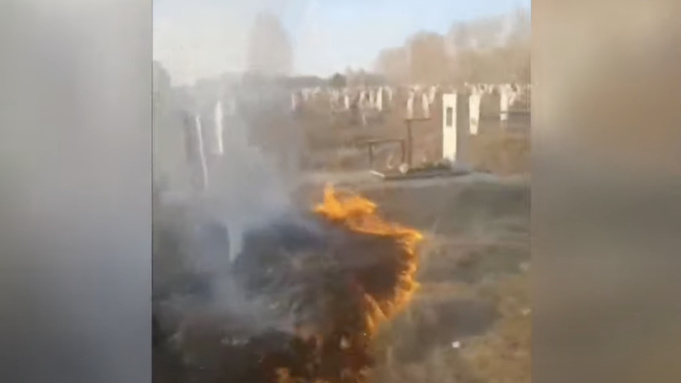 Кадр из видео: "Каменские новости"