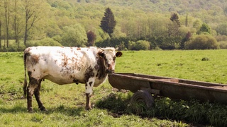 Село / Фото: wirestock / Freepik