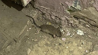 Фото: "Инцидент Барнаул"