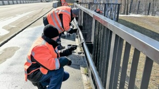 Фото: barnaul.org