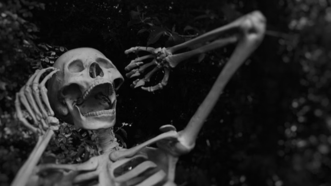 Фото: unsplash.com