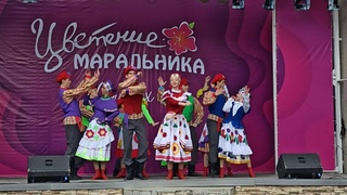 Фестиваль "Цветение маральника – 2023" / Фото: amic.ru