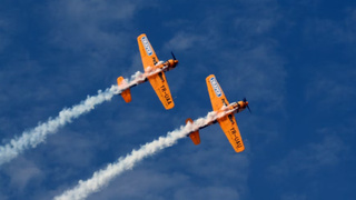 Фото: unsplash.com