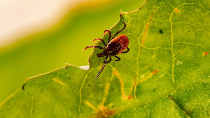 Фото: unsplash.com