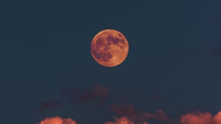 Фото: unsplash.com