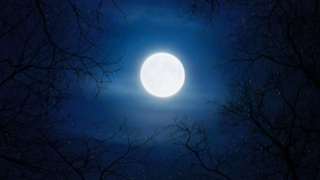 Фото: unsplash.com