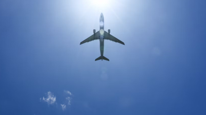 Фото: unsplash.com