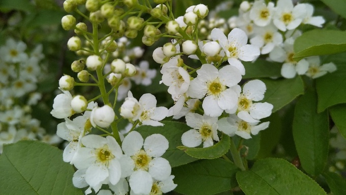 Фото: страница Виктории Гальцевой во "ВКонтакте"