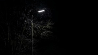 Фото: unsplash.com