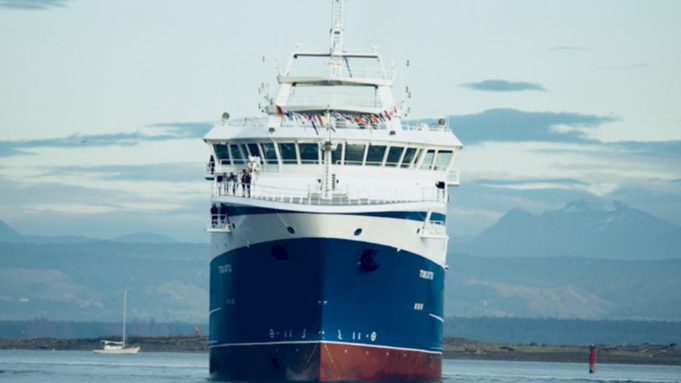 Фото: unsplash.com
