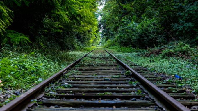 Фото: unsplash.com