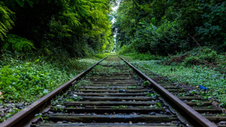 Фото: unsplash.com