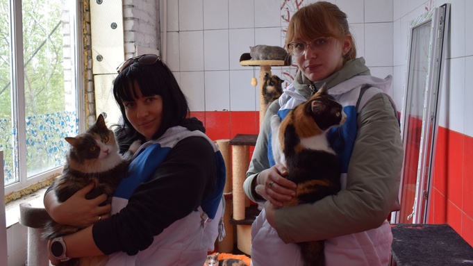Сотрудники водоканала с питомцами приюта / Фото: "Росводоканал Барнаул" 