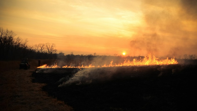 Фото: unsplash.com