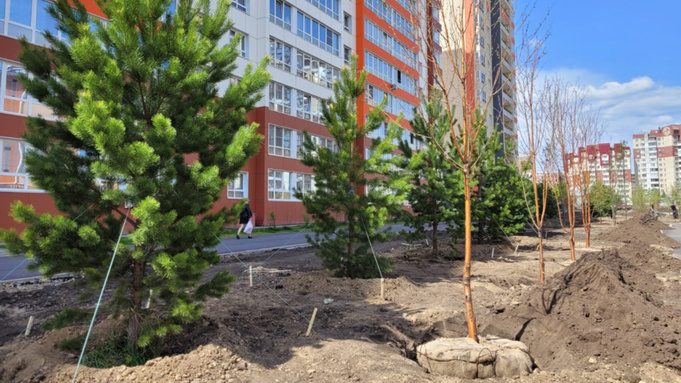 Фото: barnaul.org