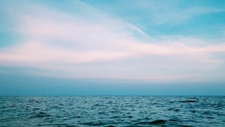 Фото: unsplash.com