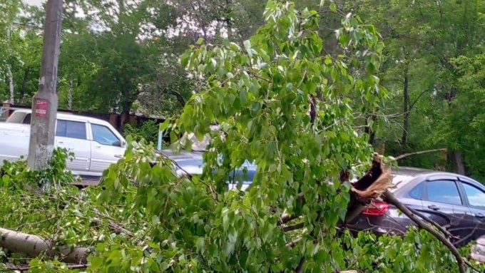 Фото: "В курсе 22"