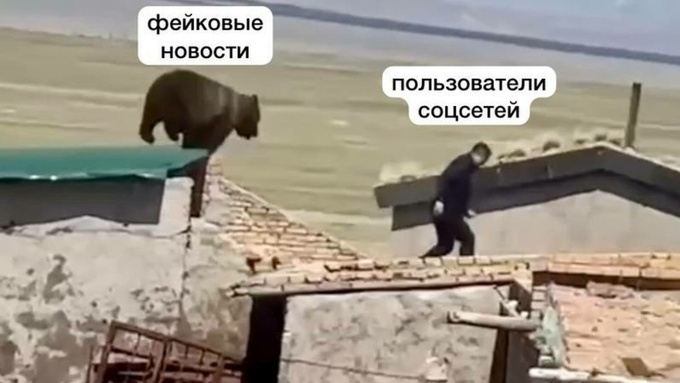 Фото: unsplash.com