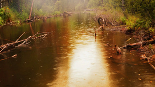 Фото: pxhere.com