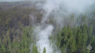 Кадр из видео