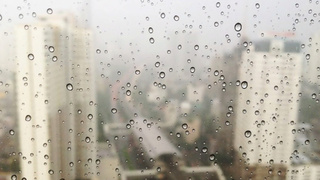 Фото: pxhere.com