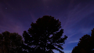 Фото: pxhere.com