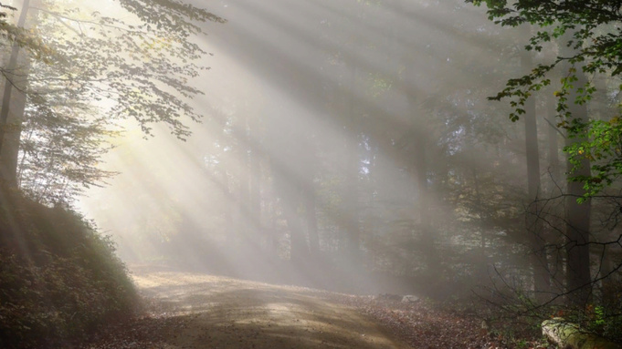 Фото: pxhere.com