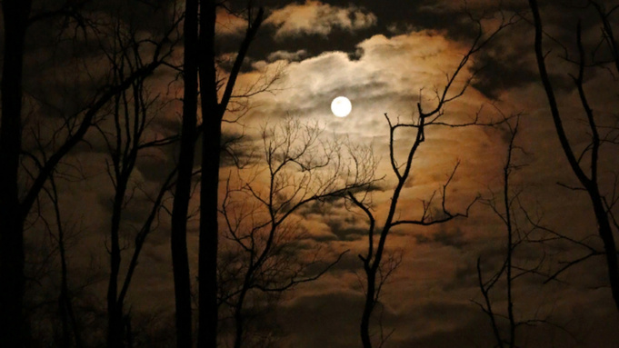 Фото: pxhere.com