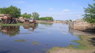 Село Усть-Чарыш / Фото: Ольга Астраханцева