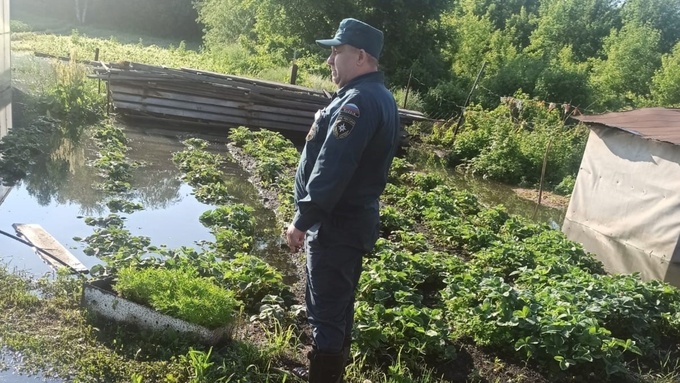 Фото: ГУ МЧС России по Алтайскому краю