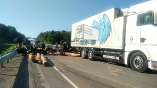 Фото: "Толк"