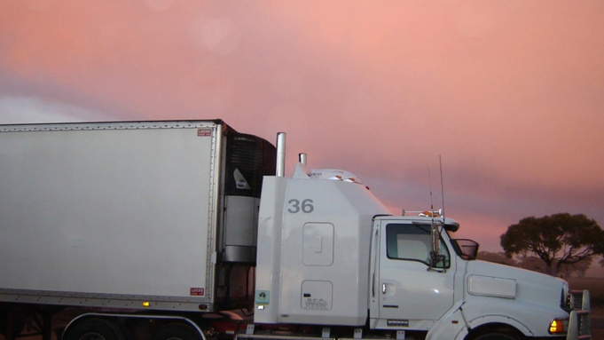 Фото: pxhere.com