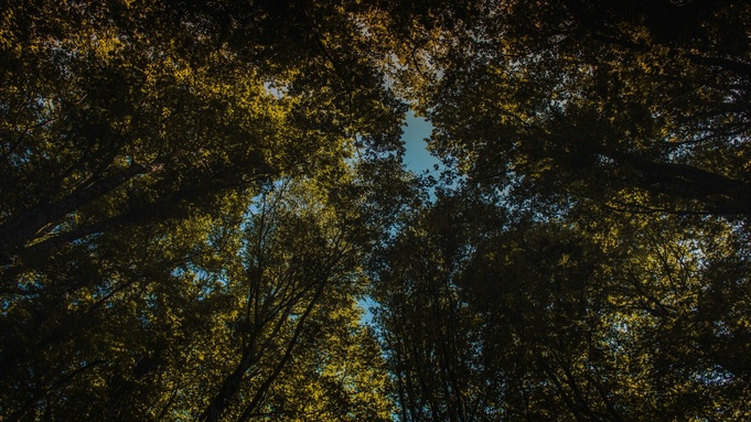 Фото: unsplash.com