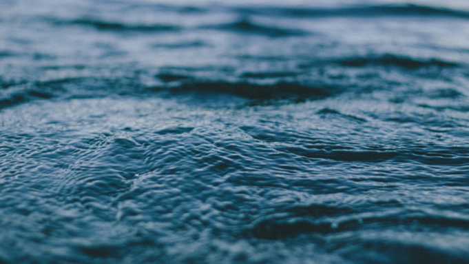 Фото: pxhere.com