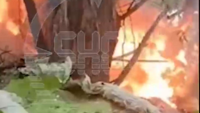 Кадр из видео / Shot